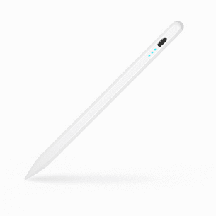 Lapiz Ipad Cancelación de Palma (BOGO)